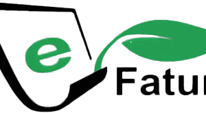 e-Fatura